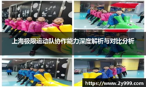 上海极限运动队协作能力深度解析与对比分析